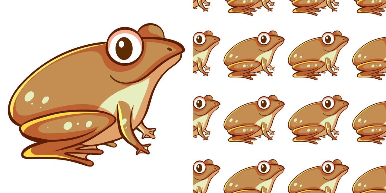 Frogs Evolution